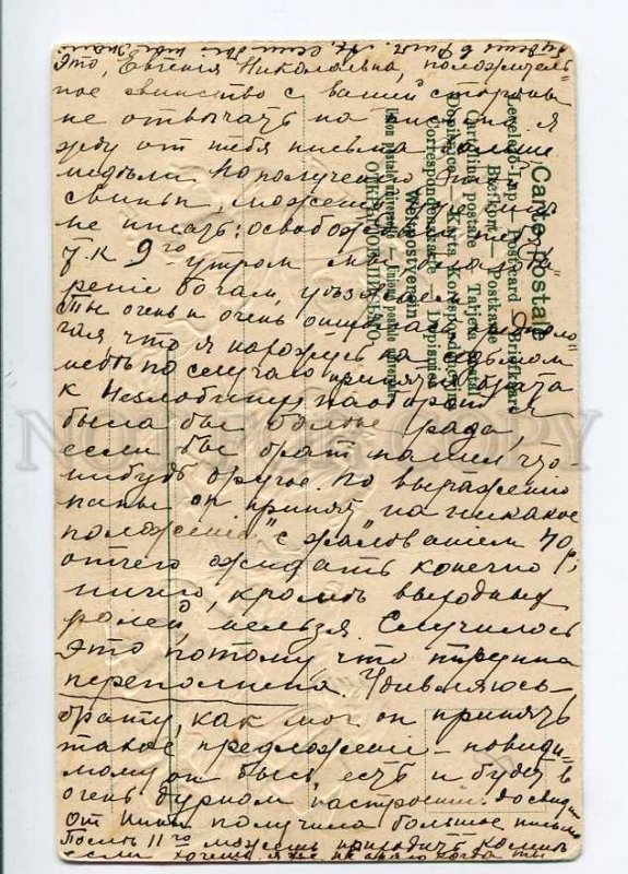 3016899 Dressed Monkeys & PIG Vintage COMIC Embossed PC