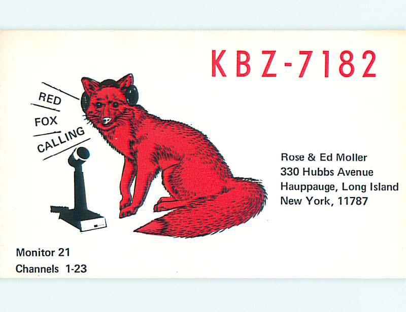 comic - QSL CB HAM RADIO CARD Long Island - Hauppauge New York NY t9769