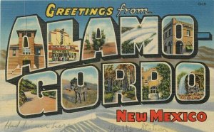 New Mexico Alamo Gordo large letters multi View Teich Southwest Postcard 22-1812 