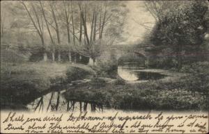 Richfield Springs NY Farnham's Bridge c1905 Postcard