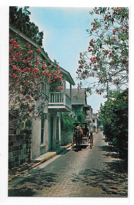 St Augustine FL Aviles Street Horse Drawn Carriage Vintage Florida Postcard