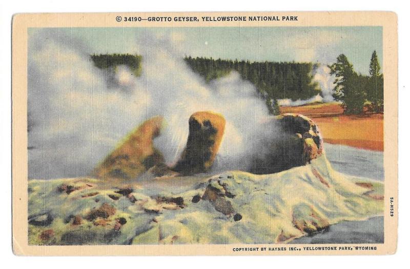 WY Yellowstone National Park Grotto Geyser Haynes Postcard