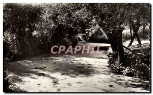 Old Postcard Maillezais Green Venice