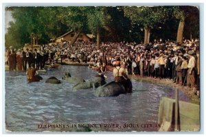 c1910's Man Ride Elephants In Big Sioux River Sioux City Iowa IA Posted Postcard