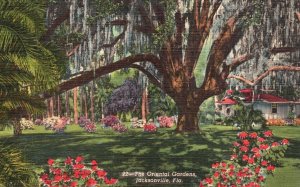 Vintage Postcard The Oriental Gardens San Jose Boulevard Jacksonville Florida FL