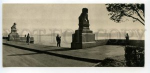 484851 1967 Leningrad Petrovskaya embankment descent lions Shi-tsza photo Savin