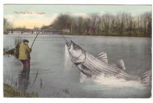 The First One I Caught, Exaggerated Fish, Fisherman, Antique Postcard