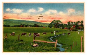Postcard FARM SCENE Milford Massachusetts MA AR7252