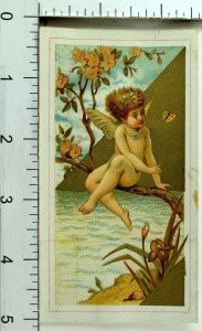 1870's-80's Fabulous Fairy Butterfly Fantasy Gilt Vivid Victorian Trade Card F76