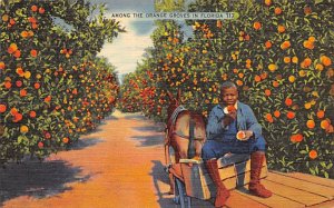 Orange Grove Florida, USA Fruit Assorted 1940 