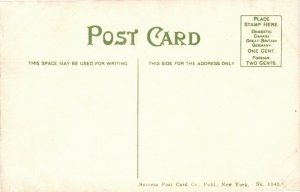 Scene at the Rustic Stone Bridge Central Park New York Vintage Postcard T02