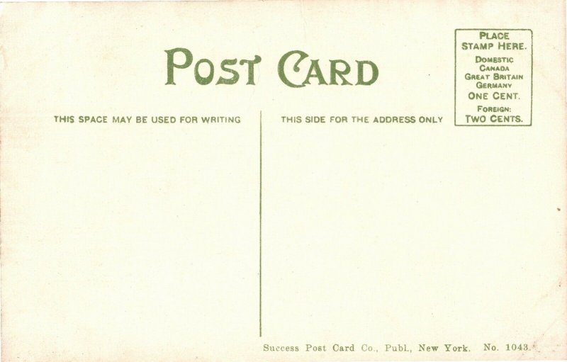 Scene at the Rustic Stone Bridge Central Park New York Vintage Postcard T02