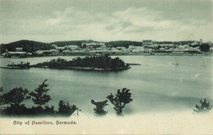 bermuda, HAMILTON, Panorama from the Sea (1900s) Postcard