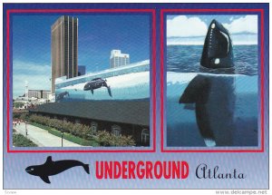 2-Views, Have a 'whale' of a time at The Underground, Atlanta, Georgia, 50-70s