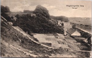 Netherlands Wageningsche Berg Zandgat Vintage Postcard 09.07