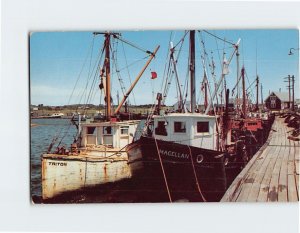 Postcard Fishing boats at deck Cape Cod Massachusetts USA