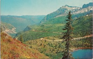 Stevens Canyon Road Tatoosh Mountains WA Washington Unused Vintage Postcard H5