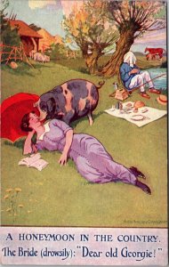 Honeymooon In The Country, Woman Mistakes Pig for Husband Vintage Postcard O48