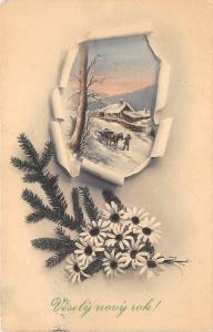 BG14860 vesely novy rok fir branch flower new year slovakia