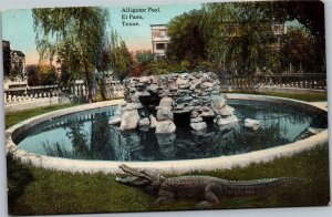 Postcard TX El Paso Aligator Pool
