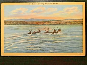 Vintage Postcard 1936 Caribou Crossing the Yukon Alaska (AK)