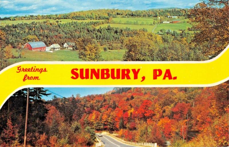 SUNBURY PENNSYLVANIA~DOUBLE IMAGE GREETINGS FROM LARGE LETTER POSTCARD