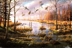 Painting A Likely Refuge Mallard Ducks By Wildlife Artist Ken Zylla 1986