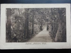 Oxford: Addison's Walk c1909