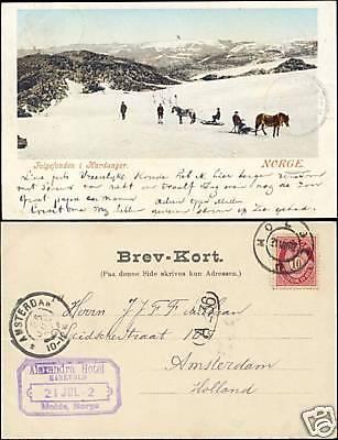 norway norge, HARDANGER, Folgefonden, Horse Sledge 1902