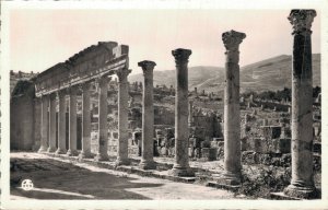 Algeria Djemila Le Portique Ouest du Temple Septimien RPPC 07.04