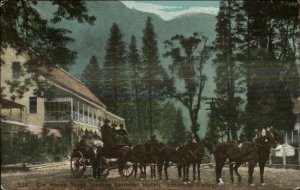 Yosemite Valley CA Six Horse Stage Sentinel Hotel Postcard c1910