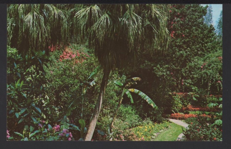 FL ST. PETERSBURG Sunken Gardens Truly States Outstanding Attractions ~ Chrome