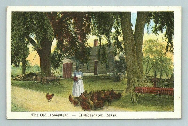 The Old Homestead Hubbardston Woman Feeding Chickens Mass Massachusetts Postcard