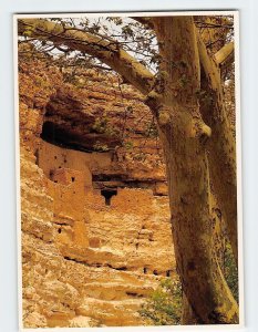 Postcard Montezuma Castle National Monument, Camp Verde, Arizona