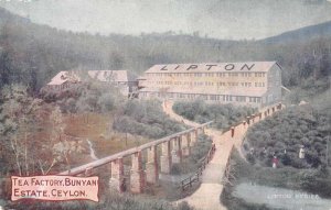 Ceylon Bunyan Estate Lipton Tea Factory Vintage Postcard AA8286