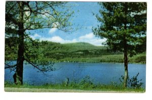 Roadside View in  Maine, Pine Tree State, Used 1956 Massachusetts,