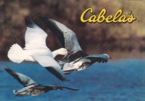 Advertising Cabela's Hunting Fishing and Outdoor Gear