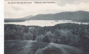 New Hampshire Holderness Big Squam Lake And The Broads Albertype