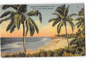Florida Keys FL Postcard 1941 Along The Florida Keys on the Way to Key West FL