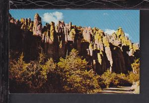 Chiricahua National Park,AZ Postcard BIN 