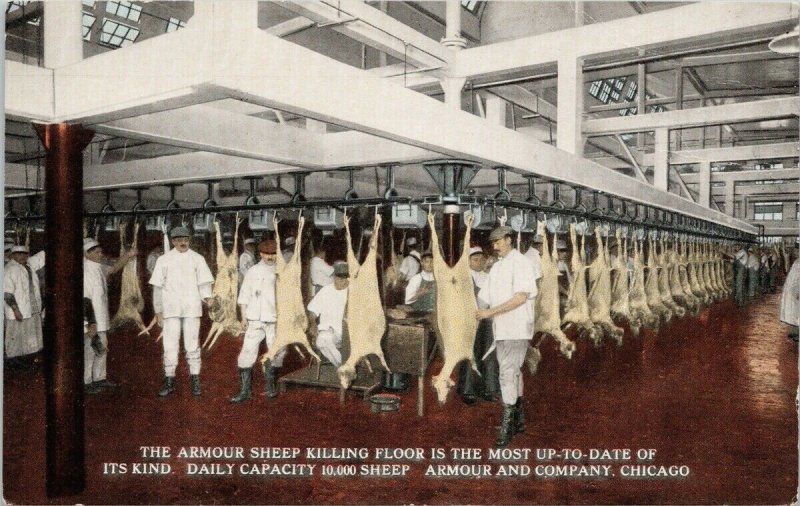 Sheep Killing Floor Armour & Company Chicago IL Unused Postcard G11