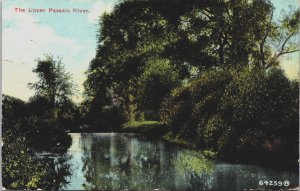 The Upper Passaic River New Jersey Vintage Postcard C153