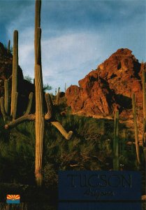 Vintage Postcard Facts Folklore History and Legend Tucson Arizona AZ