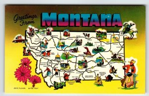 Postcard Greetings From Montana Map Chrome State Flower Bitter Root Horse Cowboy