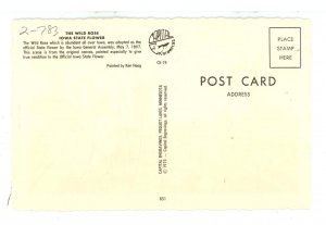 IA - Iowa State Flower (The Wild Rose)    Artist: Ken Haag