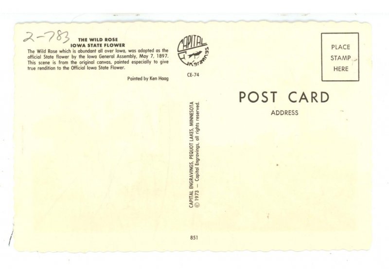 IA - Iowa State Flower (The Wild Rose)    Artist: Ken Haag