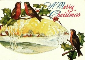 1907-15 A Merry Christmas Postcard Song Birds Holly Winter Houses Snow Capped