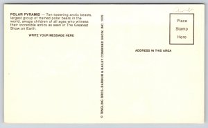 Theme Park~Polar Bear Pyramid~Ringling Bros Barnum & Bailey Circus~1960s