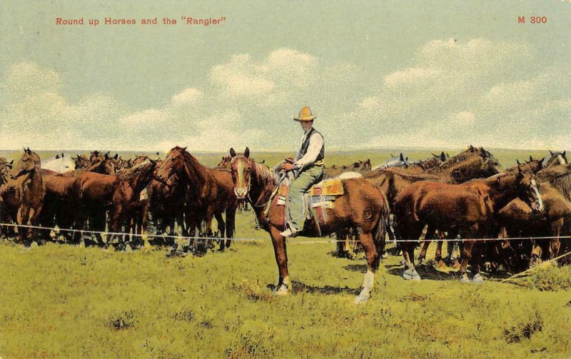 Round Up Horses & the Rangler Cowboy & Horses Western c1910s Vintage Postcard