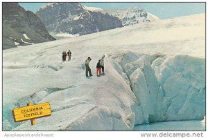 Canada Columbia Icefields Alberta